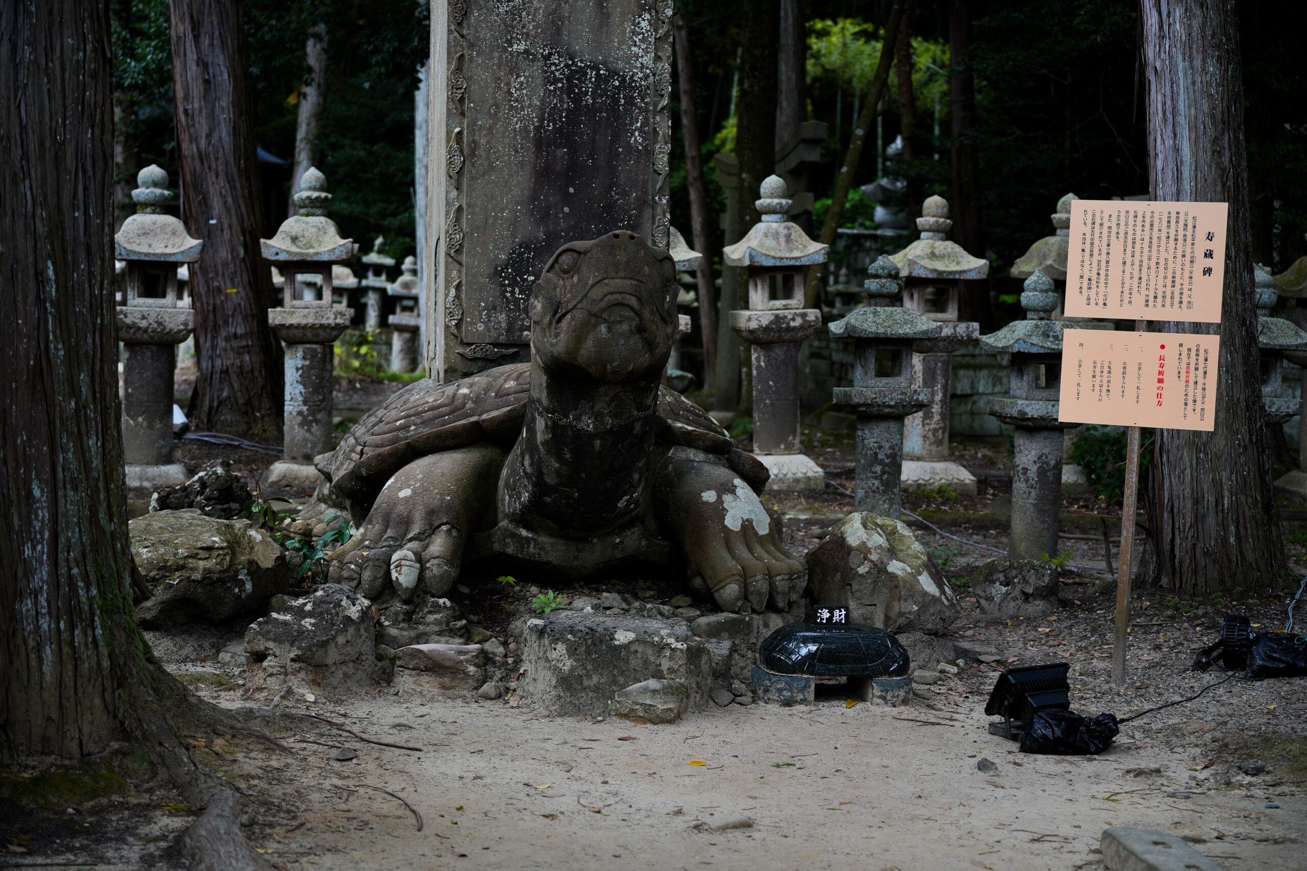 ばけばけのオープニングにも出てくる、松江市の月照寺にある石の大きな亀。体長は人間の数倍。周囲は杉の木や灯篭並ぶ鬱蒼とした雰囲気。